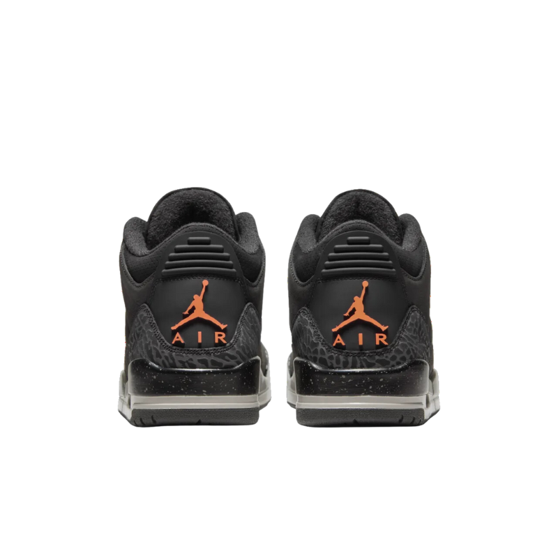 Jordan 3  "Fear"